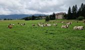 Randonnée Marche Les Rousses - le lac des rousses et le fort du risoux - Photo 6