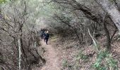 Tocht Stappen Pierrefeu-du-Var - cabane des gardes-Pierrefeu-25-02-22 - Photo 5