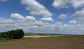 Percorso Marcia Arlon - Balisage GR 15   Guirsch -Tontelange - Photo 1