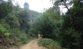 Trail Walking Signes - Aiguilles de Valbelle-01-10-21 - Photo 2
