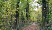 Tour Wandern Neupré - Plainevaux promenade des géants  - Photo 9