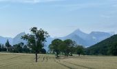 Trail Walking Claix - Colline de Comboire - Photo 1