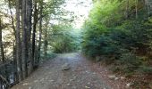 Trail Walking Estaing - ESTAING Cabane d'Ariousec en boucle G3 - Photo 8