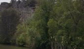 Tour Wandern Montfaucon - Monfaucon - Photo 13