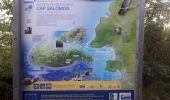 Tour Wandern Les Anses-d'Arlet - Grande Anse-Cap Salomon boucle en Q - Photo 3