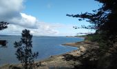 Tocht Stappen Logonna-Daoulas - LOGONNA-DAOULAS - Photo 2