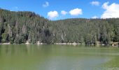 Tour Wandern Urbeis - Col du Wettstein - Hautes-Huttes - Lac du Forlet - Lac Vert - Photo 5