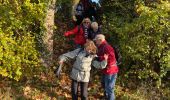 Tocht Stappen Saint-Fargeau-Ponthierry - Ponthierry Pringy 12-11-2019 - Photo 4