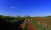 Tocht Mountainbike Fleurus - les fleche de fleurus - Photo 3