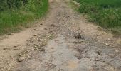 Trail Walking Lentilly - sentier bois des tannerie Lentilly - Photo 5
