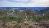 Randonnée Marche Bertrix - Auby sur Semois 140324 - Photo 6