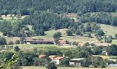 Tocht Stappen Blanzac - Rachat - Chapelle de Chassaleuil - Photo 14