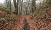 Tour Zu Fuß Nandrin - Les rochettes Bois des dames - Photo 3