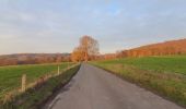 Tour Wandern Aywaille - AYWAILLE-HAVELANGE-KIN - Photo 1