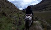 Trail Horseback riding Juncal - Cabalgata Culebrillas - Photo 17