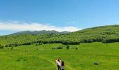 Tour Wandern Omblèze - Refuge d' Ambel - Photo 1