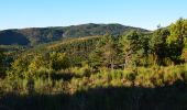 Trail Walking Castellane - Castellane - Chapelle St Thyrs - Petit Robion - Sommet Robion - Gorges du Rayaup - Photo 3