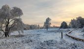 Randonnée Marche Spa - tour de la fagne de Malchamps dans la neige  - Photo 5