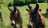 Trail Walking Montlainsia - Le Prieuré du Creux - Photo 1