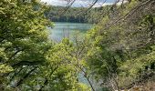 Percorso Marcia Besse-et-Saint-Anastaise - Tour du Lac Pavin - Photo 11