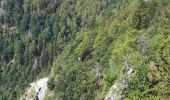 Tocht Stappen Le Valtin - Les Rochers des Hirschsteine - Lac Vert - Photo 5