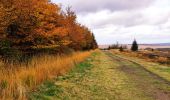 Randonnée Marche Waimes - La grande ronde des Fagnes   - Photo 1