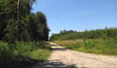 Tour Wandern Oigny-en-Valois - en forêt de Retz_81_vers les étangs de Bourcq et sur le GR11 - Photo 1
