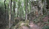 Trail On foot Waldbillig - mullerthal-2- 9.7 km  (102) - Photo 3