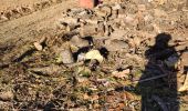 Trail Walking Roquebrune-sur-Argens - z rando dans les vignes 15-01-19 - Photo 1