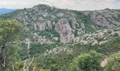 Trail Walking Fréjus - Le Vinaigre depuis le pont de la Bécasse  - Photo 8