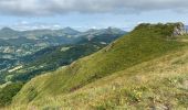 Tocht Stappen Mandailles-Saint-Julien - Mandailles Elanceze Col de Pertus - Photo 7