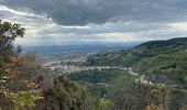 Excursión Senderismo Thiers - Le plateau de la Margeride - Photo 2