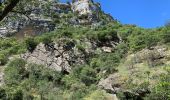 Tour Wandern Minerve - Gorges de Minerve  - Photo 10