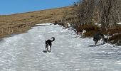 Trail Walking Stosswihr - Les 3 Fours - Ohneck - Col de Flachimont - Photo 3