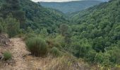 Trail Walking Lyas - Lyas  la Neuve  azur - Photo 12