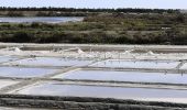 Tour Radtourismus  Saint-Martin-de-Ré - Île de ré - Photo 12