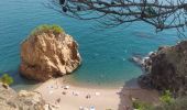 Trail Walking Begur - platja de Pals - Cap Begur - Photo 13