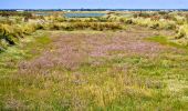 Trail Walking Mornac-sur-Seudre - Détour 2 Mornac et artisans - Photo 5