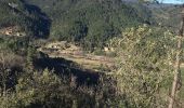 Tour Wandern Saint-Jean-du-Gard - Crêtes  - Photo 1