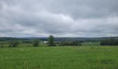 Tour Wandern Libin - rando redu  11-05-2023 - Photo 2