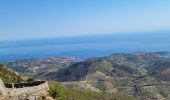 Tocht Stappen Collioure - les Batteries Taillefer la Madeloc_T - Photo 2