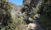 Tocht Stappen Vernazza - RA 2019 Cinque Terre Corniglia Vernazza - Photo 6