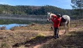 Excursión Paseo ecuestre Badonviller - Tour du lac de pierre percée  - Photo 8