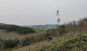 Tour Wandern Vindry-sur-Turdine - Autour de Saint loup  - Photo 13