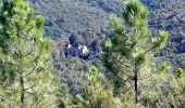 Tocht Stappen Fréjus - Mont Vinaigre depuis Colle Douce - Photo 3