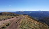 Trail On foot Le Valtin - Sentier des roches - Photo 4
