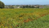 Randonnée Marche Zonnebeke - Zonnebeek 18,2 km - Photo 7