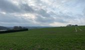 Tour Wandern Walcourt - Walcourt 13 km - Photo 18