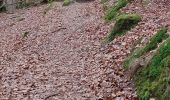 Excursión Senderismo Waldbillig - mullerthal - Photo 18