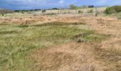 Randonnée Marche Fréjus - etangs de villepey et collines - Photo 9